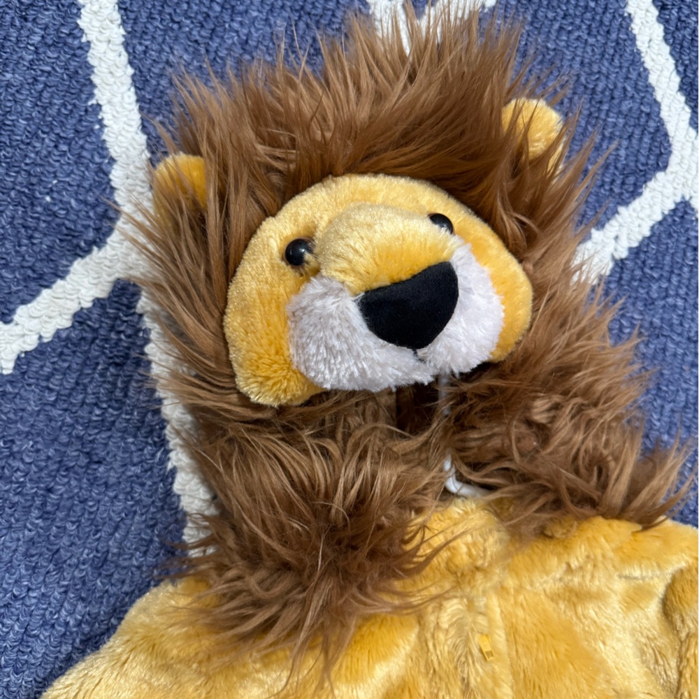 LION Costume 2T